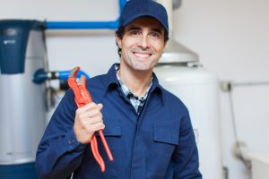 Plumber With Adjustable Wrench 